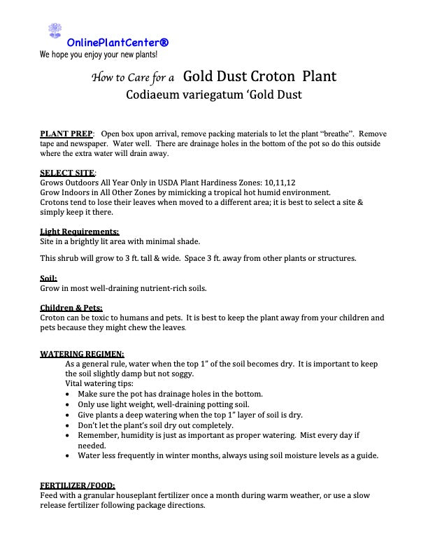 Croton Gold Dust Croton Shrub in 10 in. (3 Gal.) Grower Pot