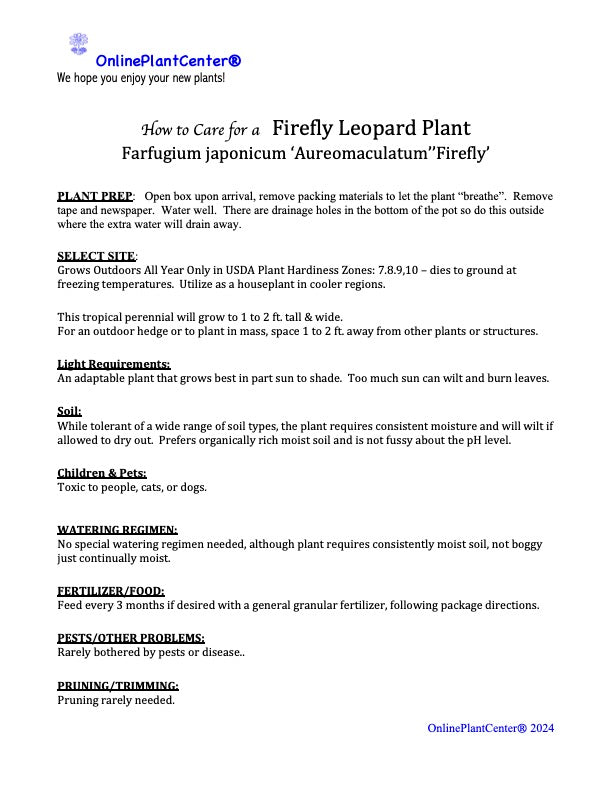 Farfugium Firefly Leopard Plant in a 10 in. (3 Gal.) Grower Pot